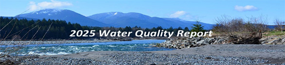 2025 Water Quality Report